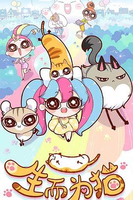 石河子seo网站优化